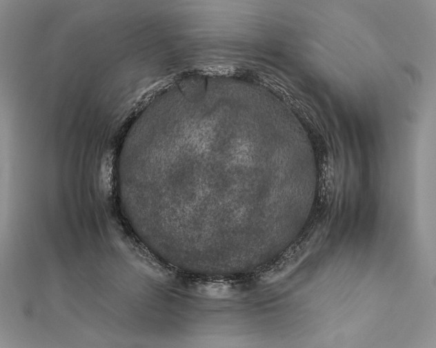 X0000112870600200909041623