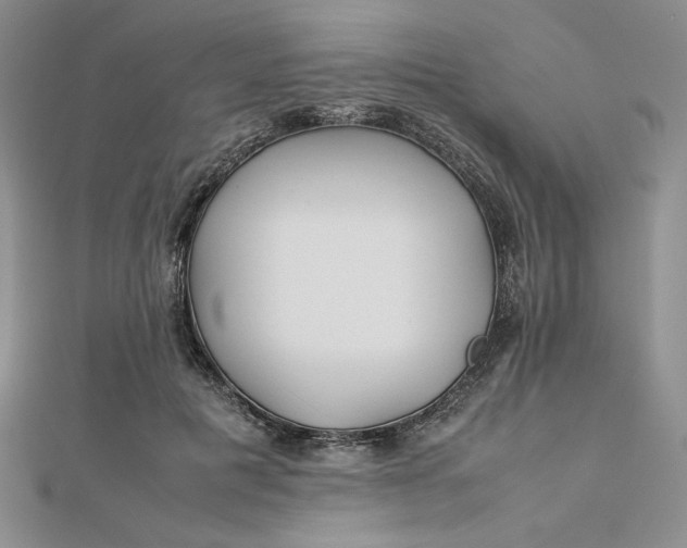 X0000112870601200909041623