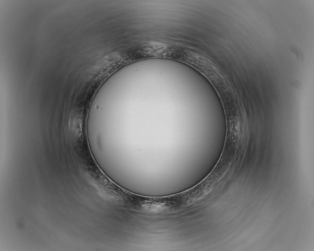 X0000112870602200909041623