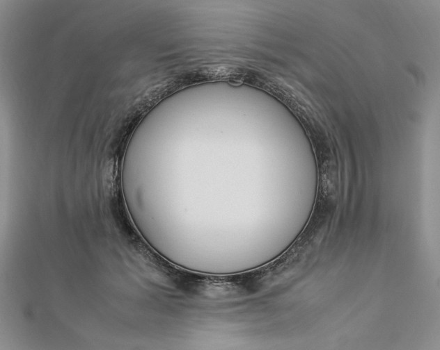 X0000112870605200909041623