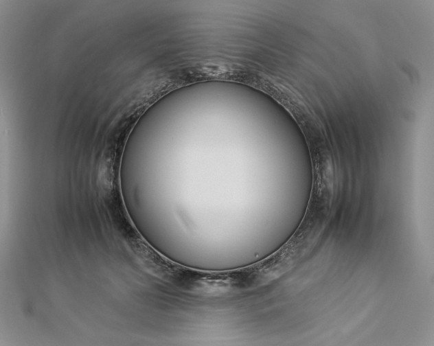 X0000112870606200909041622