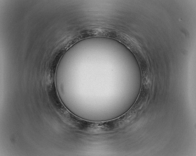 X0000112870607200909041622