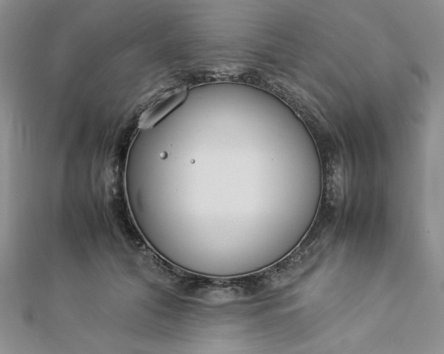 X0000112870608200909041622