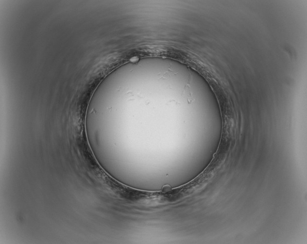 X0000112870609200909041622