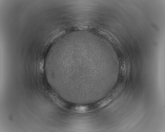 X0000112870610200909041622