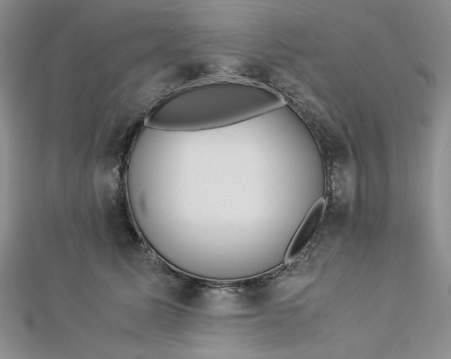 X0000112870611200909041622