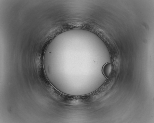 X0000112870612200909041622