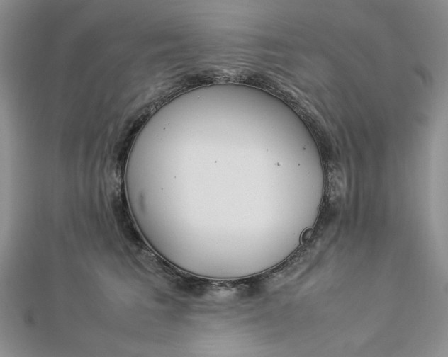 X0000112870613200909041622