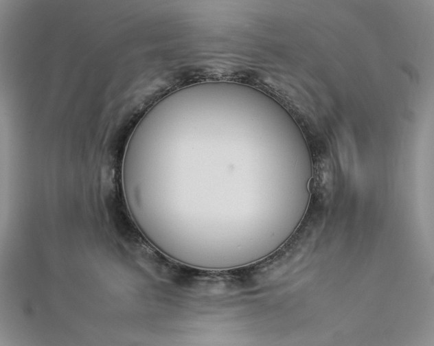 X0000112870615200909041622