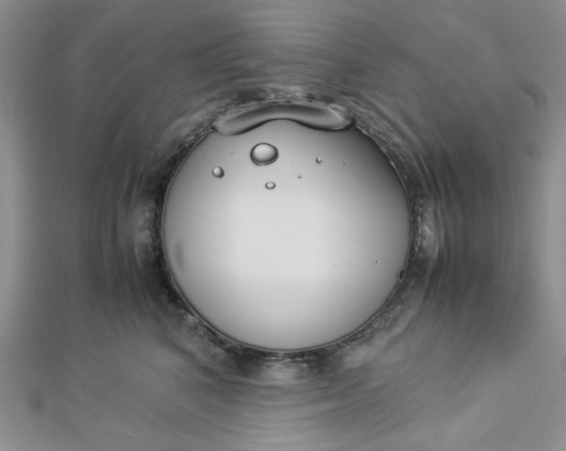 X0000112870616200909041622