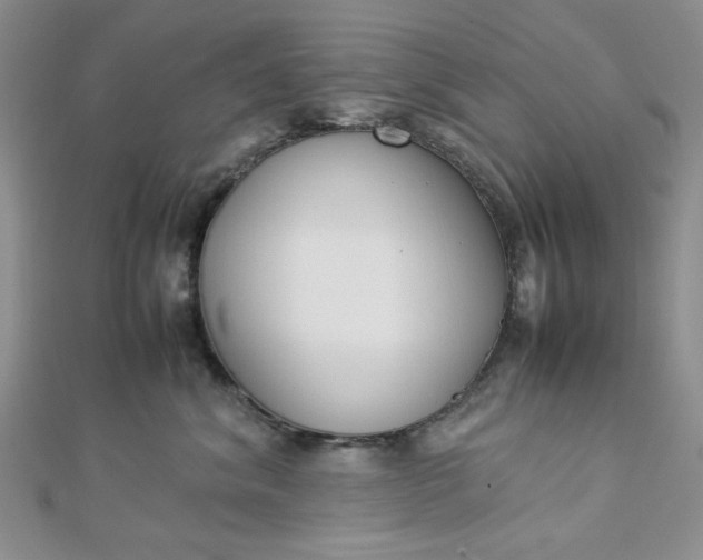 X0000112870620200909041622