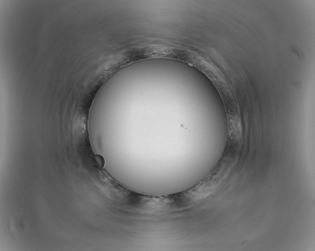 X0000112870621200909041622