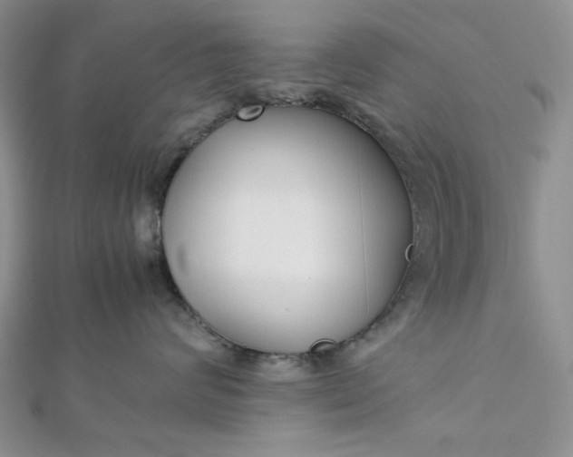 X0000112870624200909041622