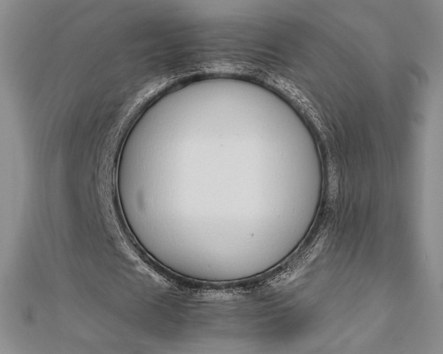 X0000112870625200909041622