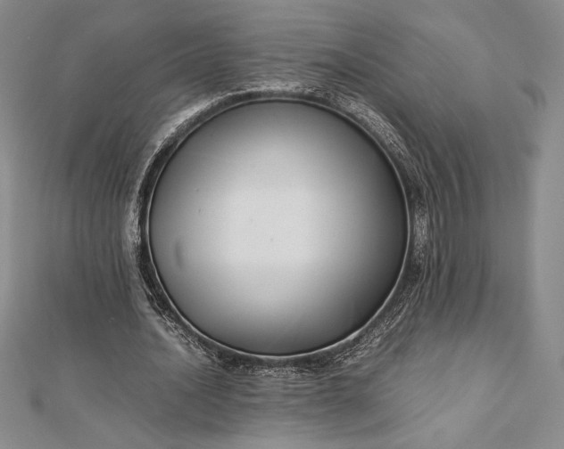 X0000112870628200909041622