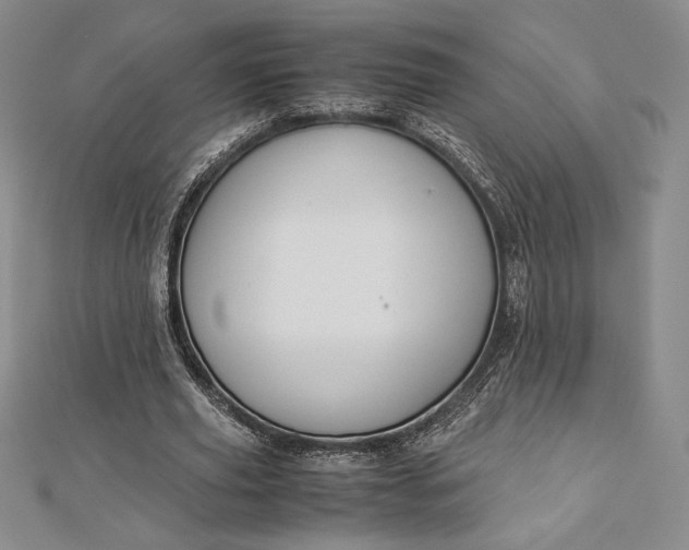 X0000112870629200909041622