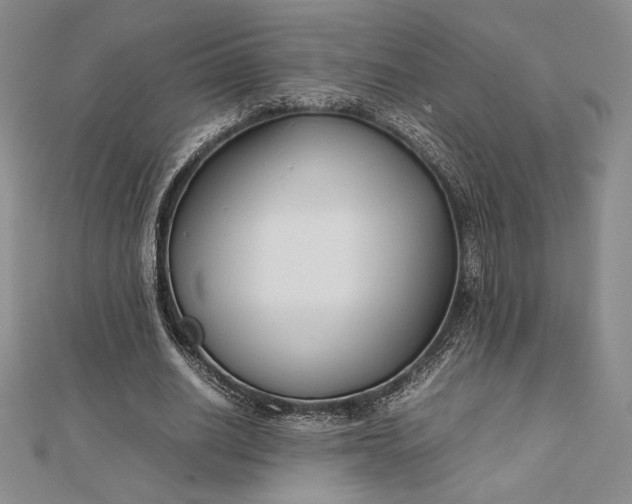 X0000112870630200909041622