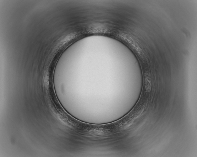 X0000112870631200909041622