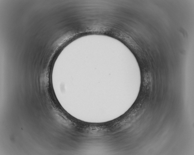 X0000112870632200909041622