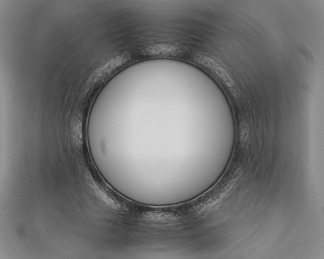 X0000112870633200909041622