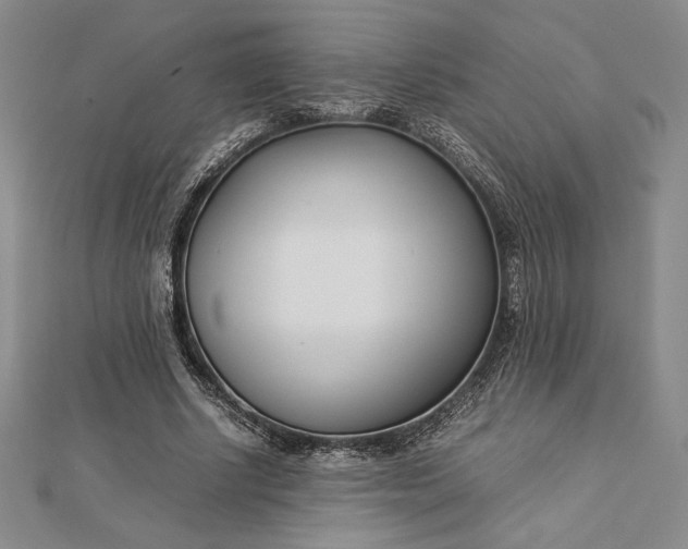 X0000112870634200909041622