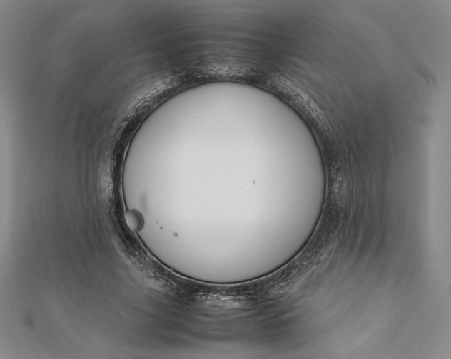 X0000112870635200909041622