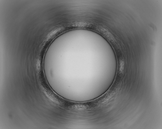 X0000112870636200909041622