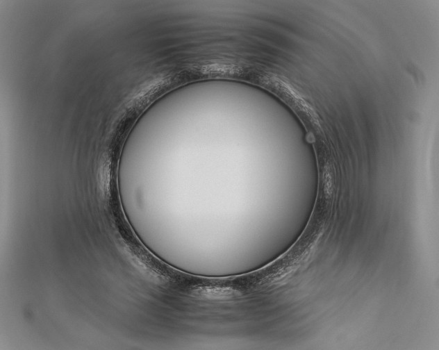 X0000112870637200909041622