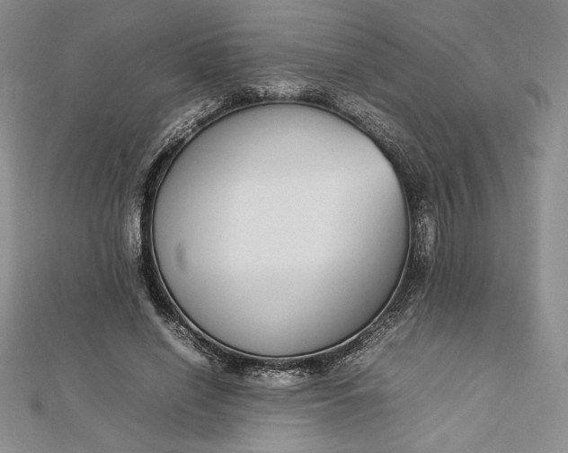 X0000112870638200909041622