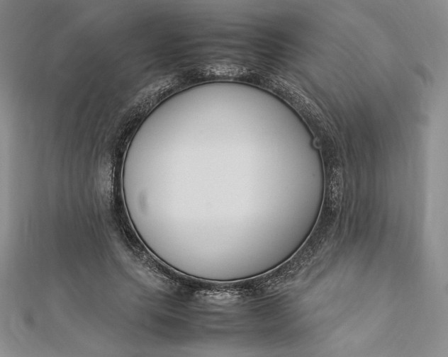 X0000112870639200909041622