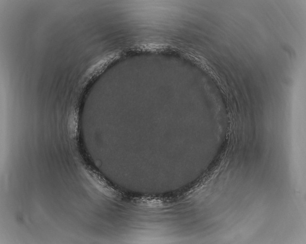 X0000112870640200909041622