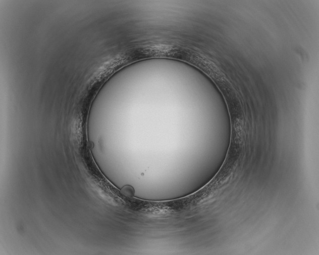 X0000112870642200909041622