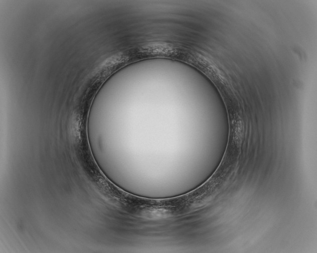 X0000112870643200909041622