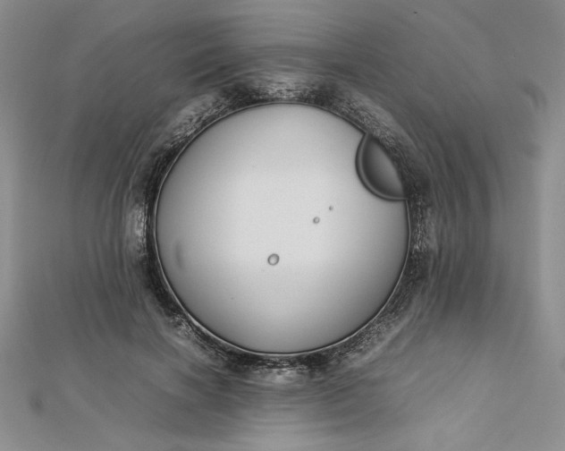 X0000112870646200909041622