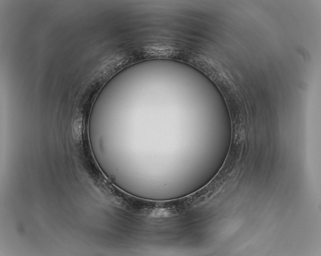 X0000112870647200909041622