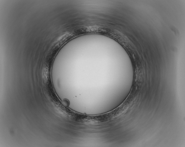 X0000112870648200909041622