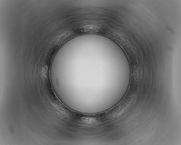 X0000112870649200909041622