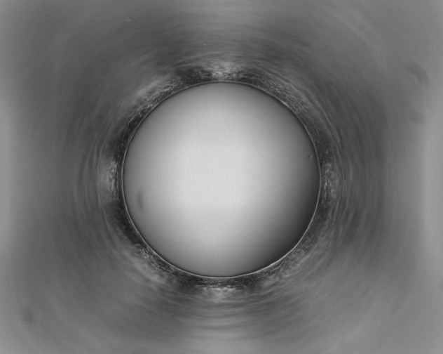 X0000112870650200909041622