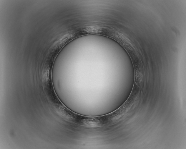 X0000112870652200909041622