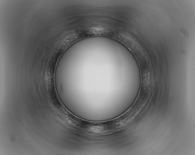 X0000112870653200909041622