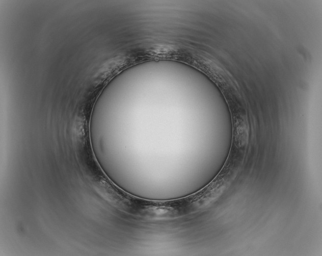 X0000112870654200909041622