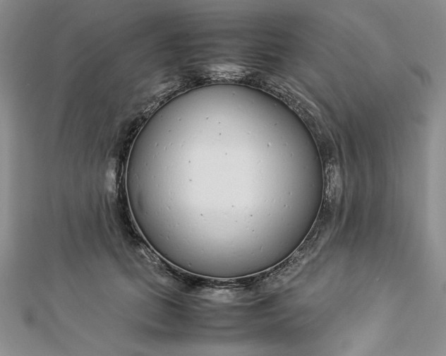 X0000112870655200909041622