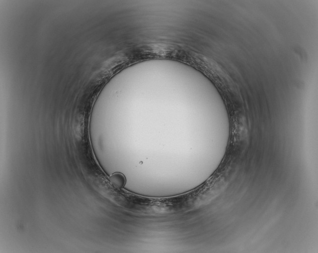 X0000112870656200909041622