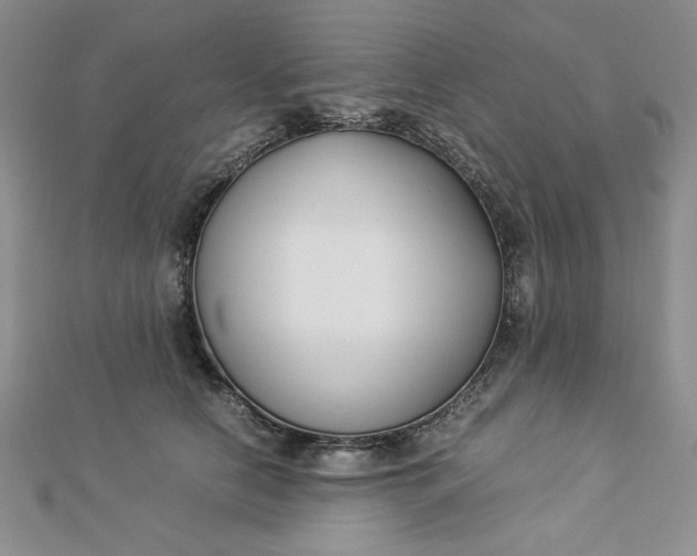 X0000112870658200909041622