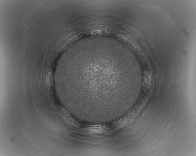 X0000112870659200909041622