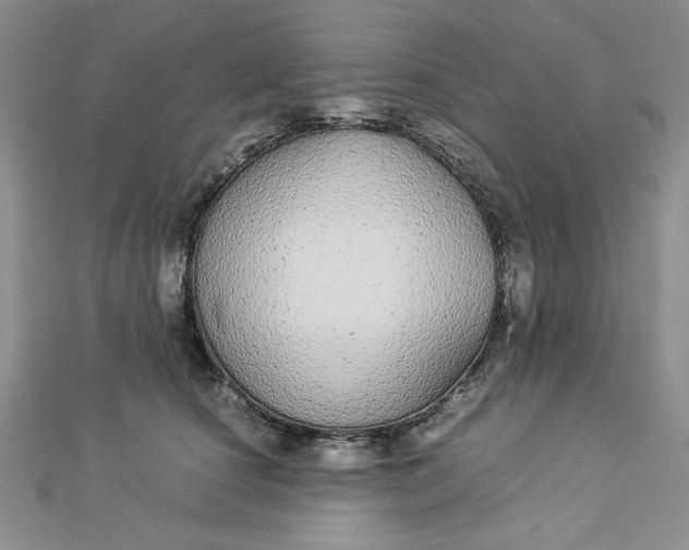 X0000112870660200909041622