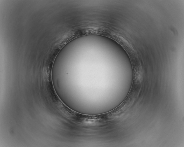 X0000112870661200909041622