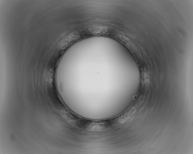 X0000112870664200909041622