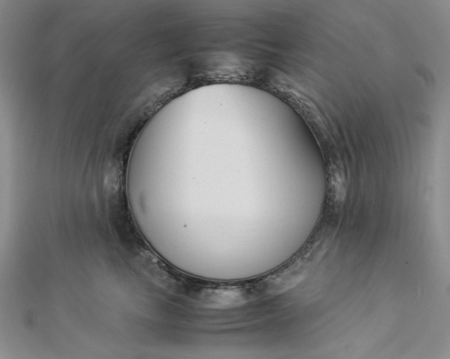 X0000112870665200909041622