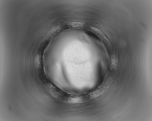 X0000112870667200909041622